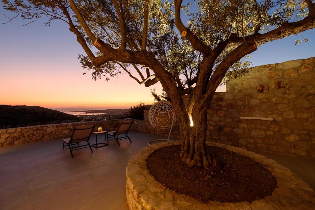 Byzantine Path Villa Back External Area Tree